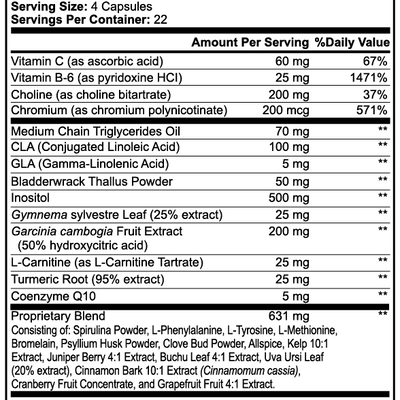 Energy Optimizer